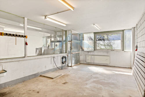 Impressionen - 