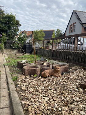 Garten - 