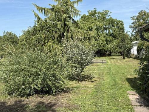 Bild 1 - Grüne Oase mit Charakter - ruhig gelegen und stilvoll modernisiert