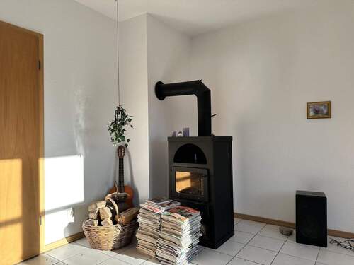 Wohnzimmer-Kaminofen - 