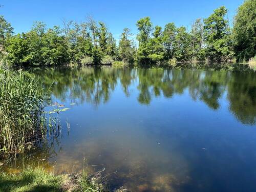 privater Badesee - 