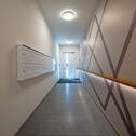 Bild 11 - 