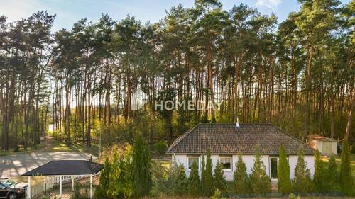 Ausblick - 