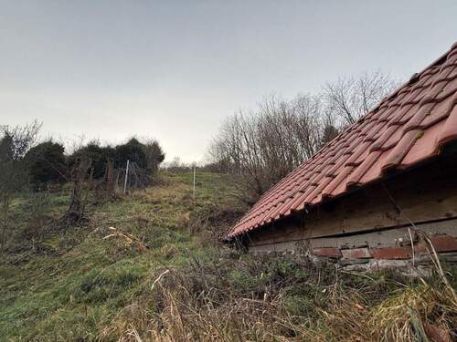 004020156800_302_361_26012026205416300 - 