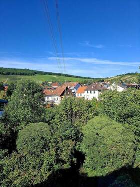 Ausblick auf das 2. Grundstück - 