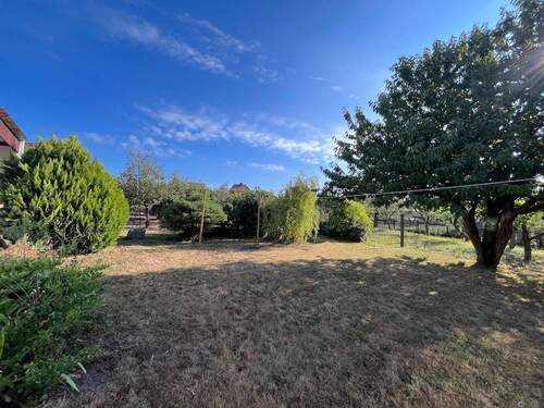 004020156800_302_354_21102025233247392 - 