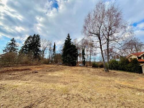 IMG_3374 - Grundstück zum Kaufen in Schmitten / Oberreifenberg