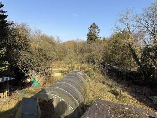 Blick in den Garten - 