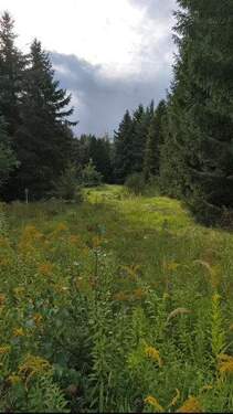 Ansicht - Schönes Baugrundstück in ruhiger Privatstraße - Sackgasse am Teltower Park