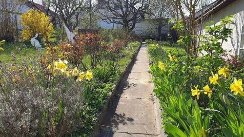 Blick in den Garten - 