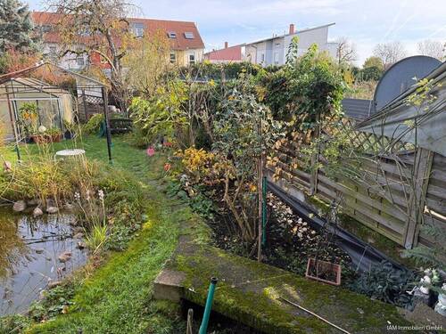 Blick in den Garten - 