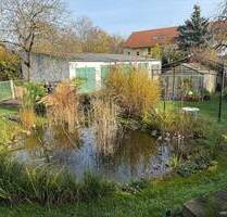 Charmante 1,5-Zimmer-Wohnung mit Balkon und Blick ins Grüne - Hanau