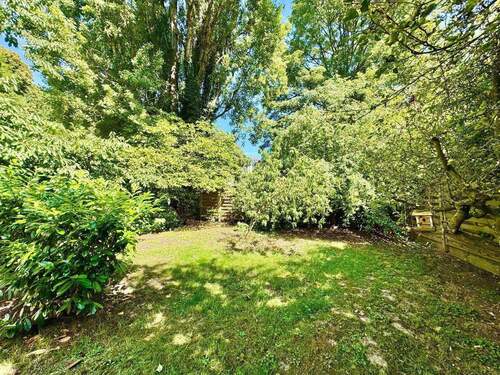 Blick in den Garten - 