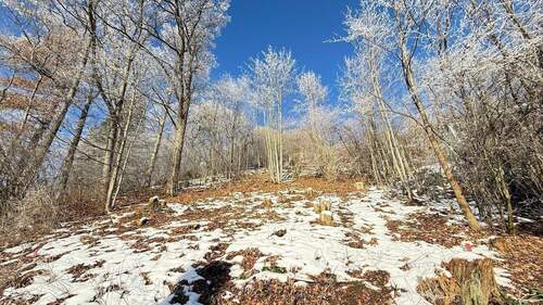 Baugrundstück - Grundstück in Immenstadt im Allgäu