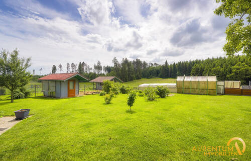 Innenhof/Garten - 