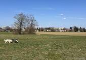 Wiese und Felder im Umfeld - 