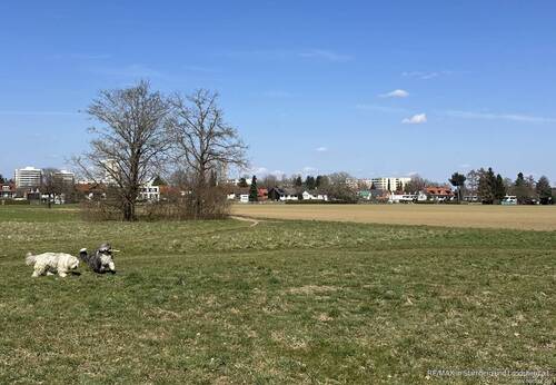 Wiese und Felder im Umfeld - 