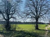 Wiese und Felder im Umfeld - 