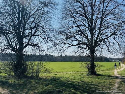 Wiese und Felder im Umfeld - 