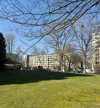 unmittelbares Umfeld - 