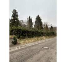 Baugrundstück in Waldrandlage in St. Ingbert-Reichenbrunn zu verkaufen