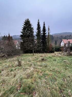 Bild 2 - Grundstück zum Kaufen in St. Ingbert