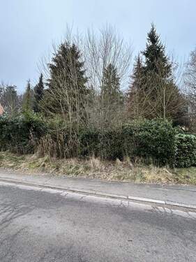 Bild 3 - Grundstück in St. Ingbert