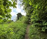 kleiner Trampelpfad - 