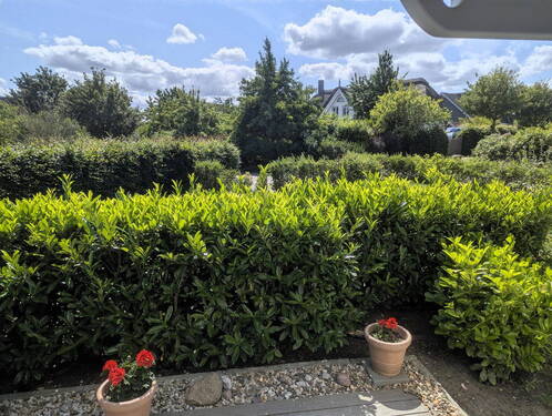 Der Garten - 