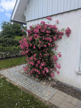 Bild 8 - 
