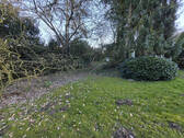 Bild5 - 