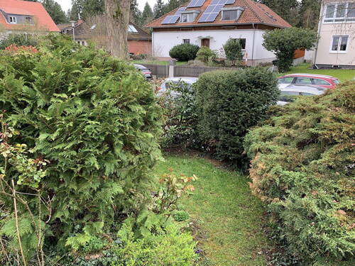 Gartenimpressionen 1 - 