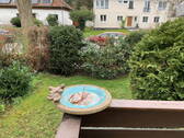 Gartenimpressionen 2 - 