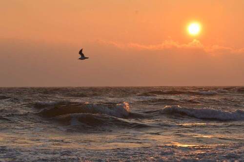 Herbstliche Strandimpression - 