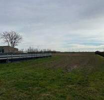 +++ Großes Baugrundstück in Nempitz - Bauträgerfrei +++ - Bad Dürrenberg