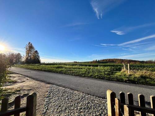 Ländliche Idylle mit Feldweg - 