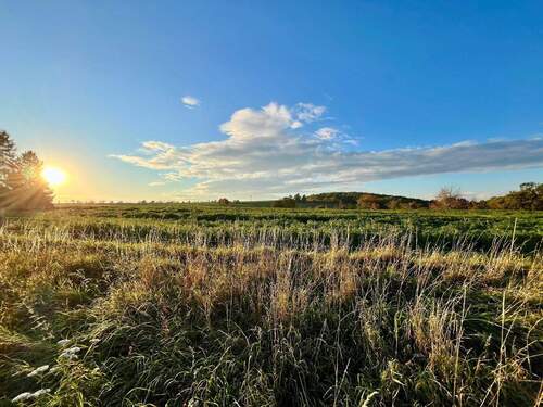Weite grüne Landschaft - 