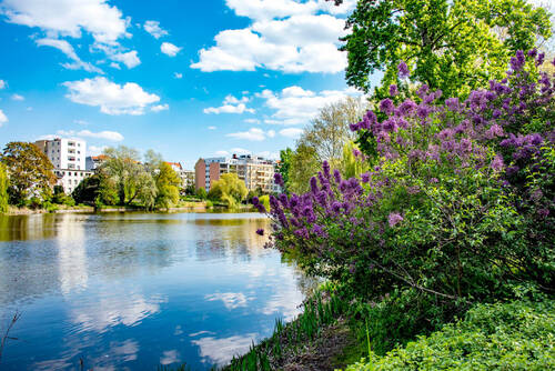 Lietzensee_1977 - 