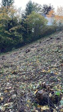 7.jpg - Traumlage Grundstück in Schwarzenbruck 719 m²