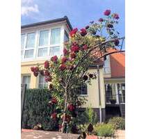 Ein Zweifamilienhaus, auch als Einfamilienhaus nutzbar - Birkenwerder