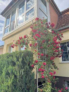 Haus vorne (3).jpg - 