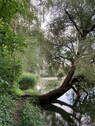 Bild 7 - 