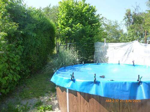 Pool im Garten - 