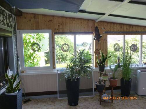 Großer Wintergarten - 6 Zimmer Einfamilienhaus in Erbenhausen