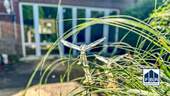 Terrassenbereich - 