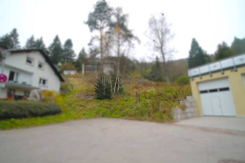 Ansicht von unten - Grundstück zum Kaufen in Titisee-Neustadt