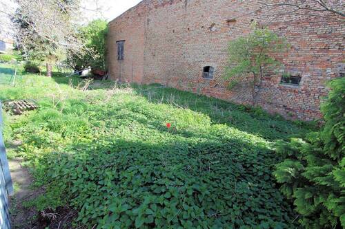 Garten hinten (1).jpg - 