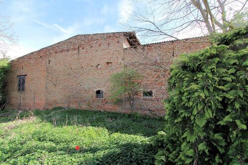 Garten hinten (2).jpg - 