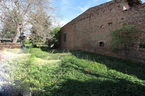 Garten hinten (3).jpg - 