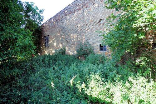 Blick in den Gartenbereich (4).jpg - 